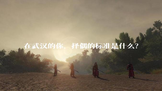 在武汉的你，择偶的标准是什么？