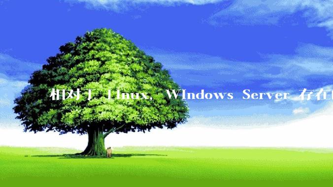 相对于 Linux，Windows Server 存在的意义是什么？