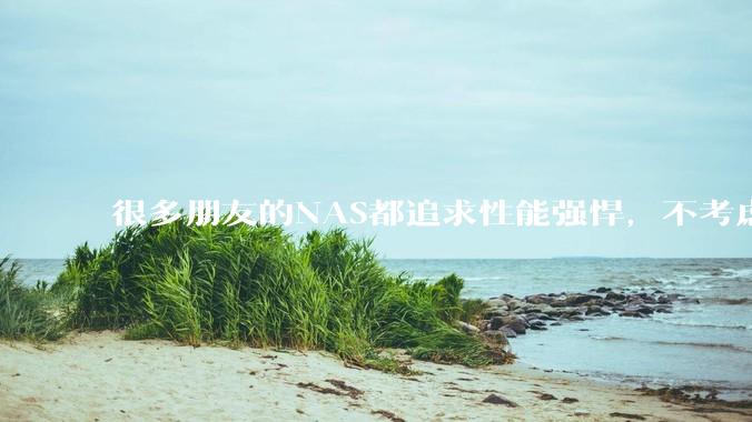 很多朋友的NAS都追求性能强悍，不考虑能耗吗？
