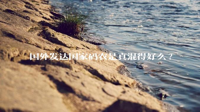 国外发达国家码农是真混得好么?
